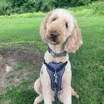 Christy Cochran - @christy.cochran.96 - Instagram