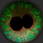 Christy Conley - @cthulyn - Instagram
