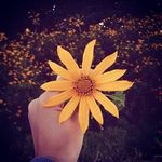 christi gray - @christi.gray1 - Instagram