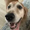 christihahn - @christihahn - TikTok