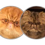 Christi Reynolds Hatfield - Facebook