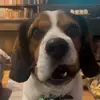 thechristimann - @thechristimann - TikTok