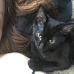 Christy Olson - @oxyclean_101 - Instagram