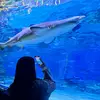christina - @christina.park - TikTok