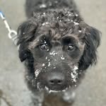 Christi Patrick - @christi.patrick.3 - Instagram