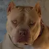Christi Phillips - @christi.navymom - TikTok