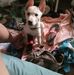 Christy Pugh - Facebook