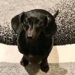 Christi Franklin Simpson - @okienurse427 - Instagram