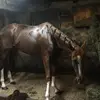 Christian_Snyder2 - @christian_snyder14 - TikTok