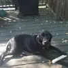 Christi Young - @christi.young4 - TikTok