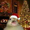 chris° - @christianalt67 - TikTok