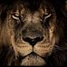 Christian Ames - Facebook
