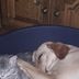 Christian Baron - Facebook