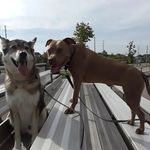 Christian Bartlett - @christianbartlett14 - Instagram