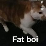 Christian Beebe - @christianbeebe - Instagram