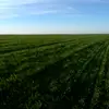 Christian Beisel - @christianbeisel - TikTok