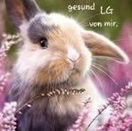 Christian Böhm - Facebook