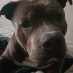 Christian Bond - @bondje76 - Instagram