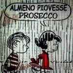 Christian Bucci - @buccischris02 - Instagram