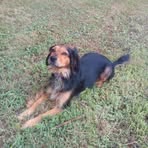 Christian Carollo - Facebook