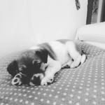 CHRISTIAN CAROLLO - @tsm_chry10 - Instagram