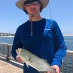 Christian Carpenter - @christian__carpenter - Instagram