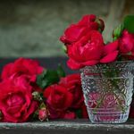 Christian Carson - @christian.carson.1426 - Instagram
