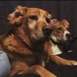 Christian Devlin - @christian.devlin12 - Instagram