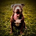 Christian Devore - @christian.devore.9210 - Instagram