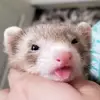 christian.yeager - @christian.yeager - TikTok