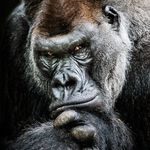 Christian Ecker - @christianeckerce - Instagram