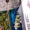 christianecker255 - @christianecker255 - TikTok