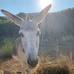 Christian Ehrhardt - @christian_ehrhardt_ce - Instagram