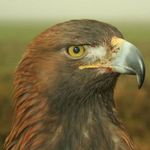 Christian Ehrhardt - @christian.ehrhardt.001 - Instagram