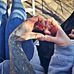 Christian Ehrhardt - Facebook