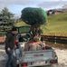 Christian Ellinger - Facebook