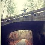 Christian Thorne Gordon - @christiangordon1997 - Instagram