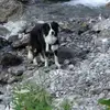 Christian Hilbert - @christian.hilbert - TikTok