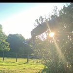 Christian  Holcomb - @the.flyingkid - Instagram