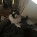 Christian Holcomb - Facebook
