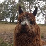 Christian David Hyde - @christian____hyde - Instagram