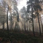 Christian Lott - @loddycalifornia - Instagram