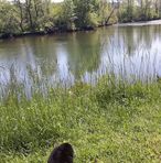 Christian Lyons - Facebook