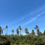 @christian_malcolm1 - Instagram