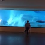 Christian Schollasch - @christiannullacht15 - Instagram