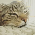 xChristian0311x - @christian_nulldrei - Instagram