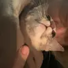 Christian Orr - @christian.orr1 - TikTok