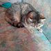 Christian Probst - Facebook