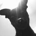 Christian Probst - Facebook