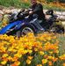 Christian Rameau - Facebook